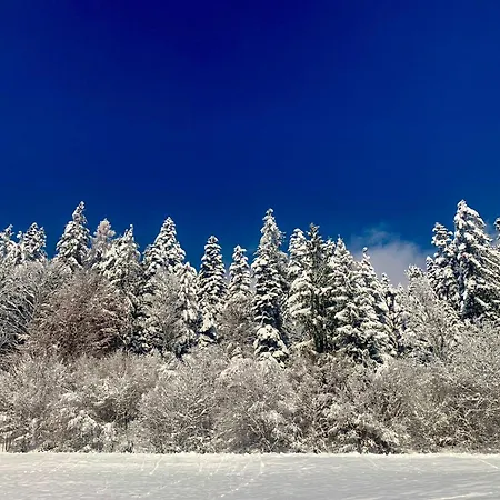Naturbunt Lejlighed *