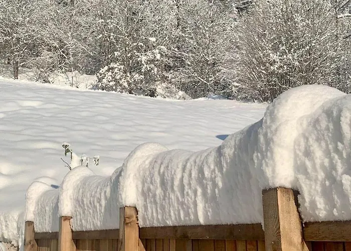 Lejlighed Naturbunt *