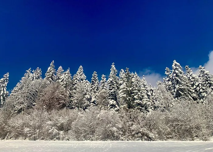 Naturbunt Lejlighed *