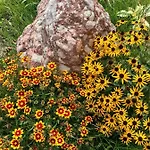 Naturbunt Soll