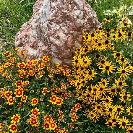 Naturbunt Söll